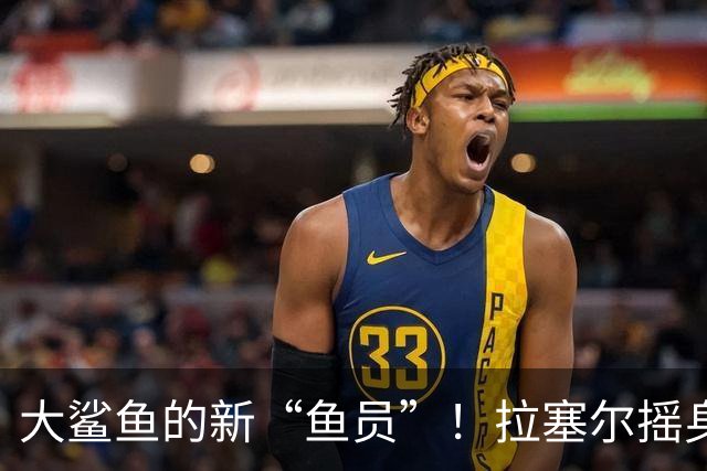 大鲨鱼的新“鱼员”！拉塞尔摇身一变加盟上海男篮